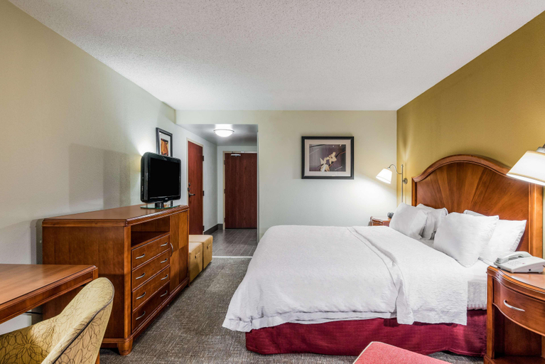Bedroom 3, Hampton Inn Roanoke/Hollins - I-81, Roanoke
