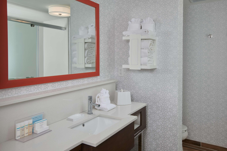 Bathroom 4, Hampton Inn Wilmington-Medical Park, New Hanover