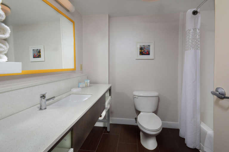 Bathroom 4, Hampton Inn & Suites Clinton I-26, Laurens