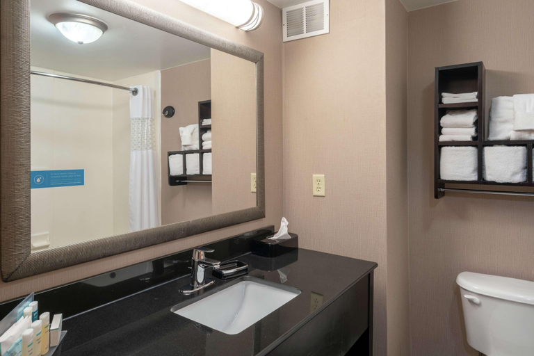 Bathroom 4, Hampton Inn Dublin, Pulaski