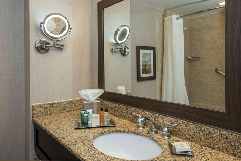 Bathroom 5, Hilton Suites Winnipeg Airport, Division No. 11