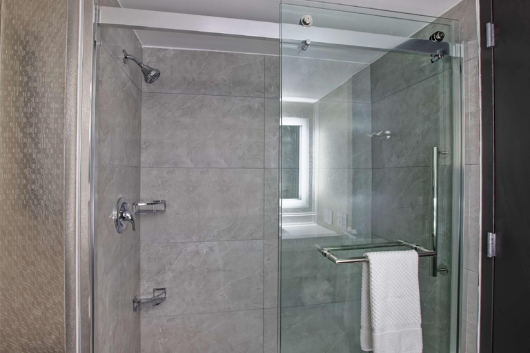 Bathroom 4, Embassy Suites Hotel Syracuse, Onondaga