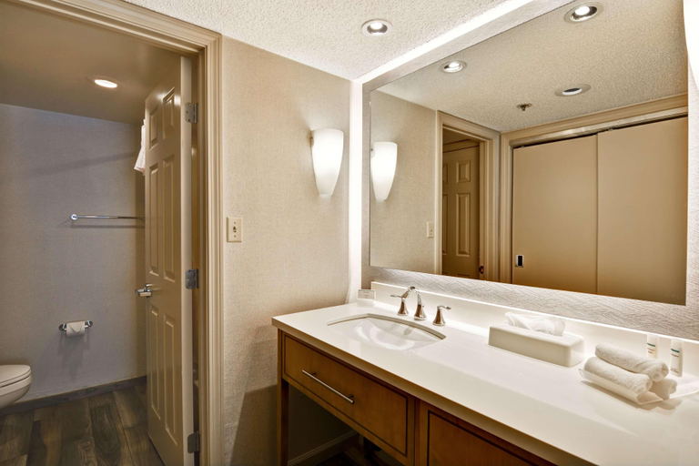 Bathroom 5, Homewood Suites by Hilton Windsor Locks Hartford, Hartford