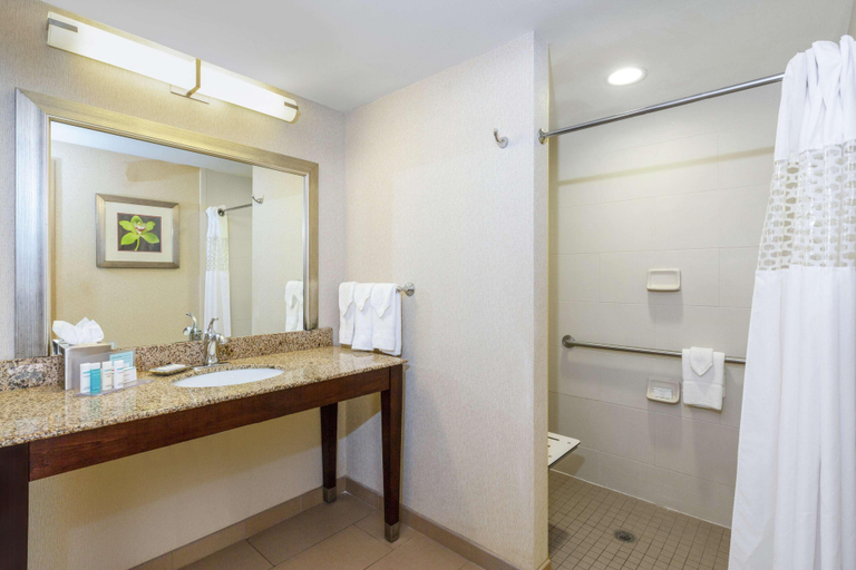 Bathroom 4, Hampton Inn Texarkana, Miller
