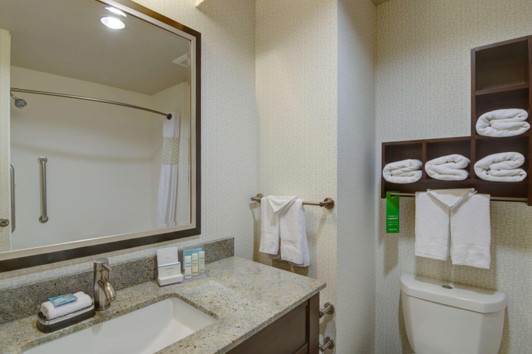 Bathroom 4, Hampton Inn & Suites Trophy Club - Fort Worth Nort, Denton