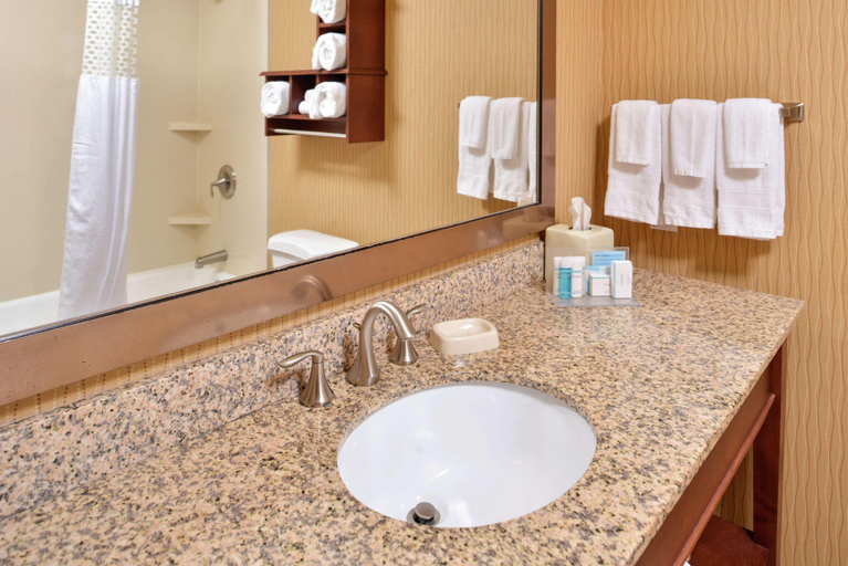 Bathroom 4, Hampton Inn Idaho Falls/Airport, Bonneville