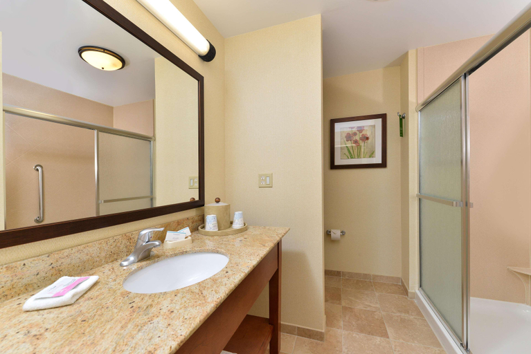 Bathroom 4, Hampton Inn Ottumwa, Wapello