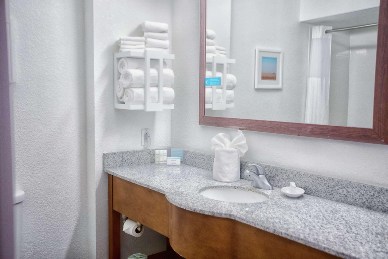 Bathroom 4, Hampton Inn Marion, IN, Grant