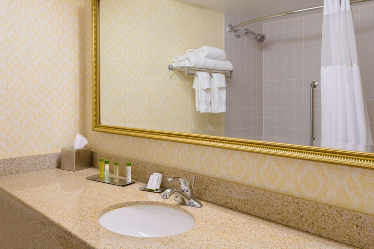 Bathroom 5, DoubleTree By Hilton Richmond-Midlothian, Chesterfield