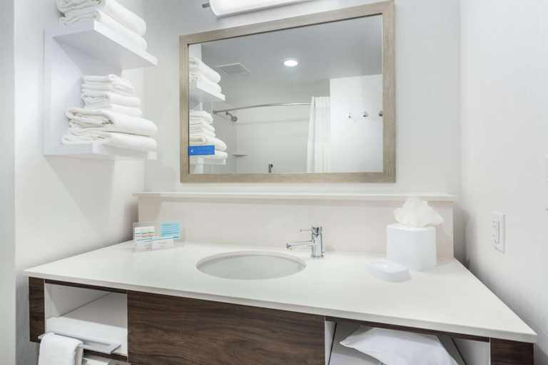 Bathroom 4, Hampton Inn & Suites Saraland Mobile, Mobile