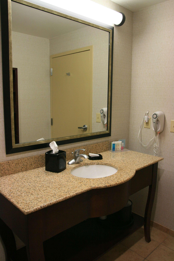 Bathroom 3, Hampton Inn & Suites West Point, Clay
