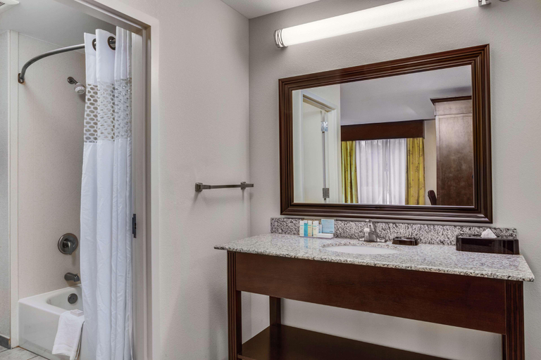 Bathroom 4, Hampton Inn Ozark, Dale