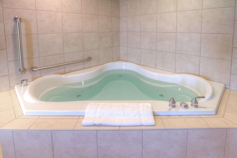 Bathroom 4, Hilton Garden Inn Great Falls, Cascade