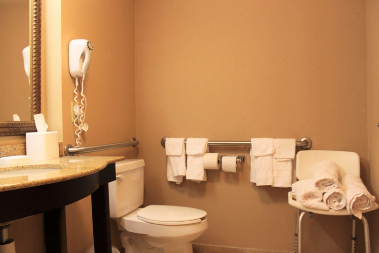 Bathroom 4, Hampton Inn Americus, Sumter