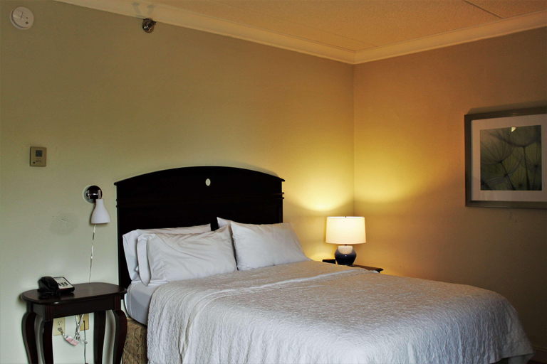 Bedroom 3, Hampton Inn Americus, Sumter