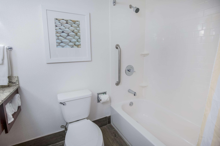 Bathroom 4, Hilton Garden Inn Orange Beach Beachfront, Baldwin