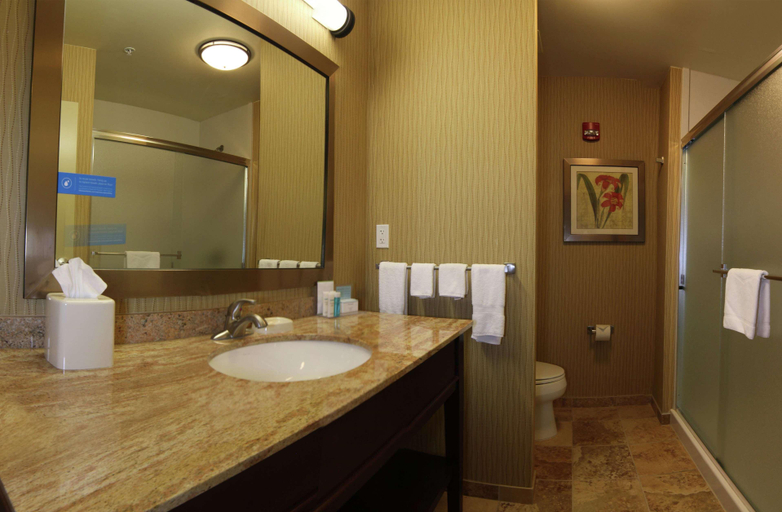 Bathroom 4, Hampton Inn & Suites Grand Forks, Grand Forks