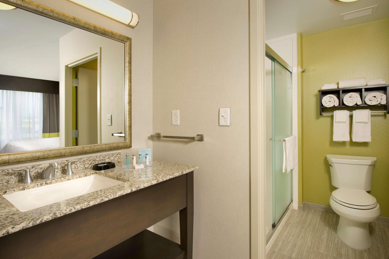 Bathroom 4, Hampton Inn & Suites Buffalo Airport, Erie