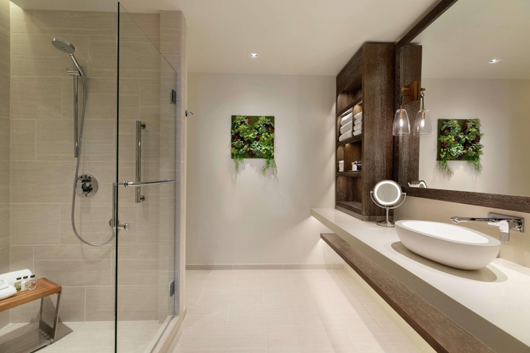 Bathroom 5, Hoodoo Moab Curio Collection By Hilton, Grand