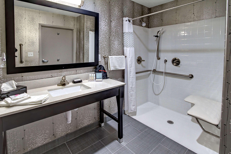 Bathroom 4, Hampton Inn & Suites Ada, Pontotoc