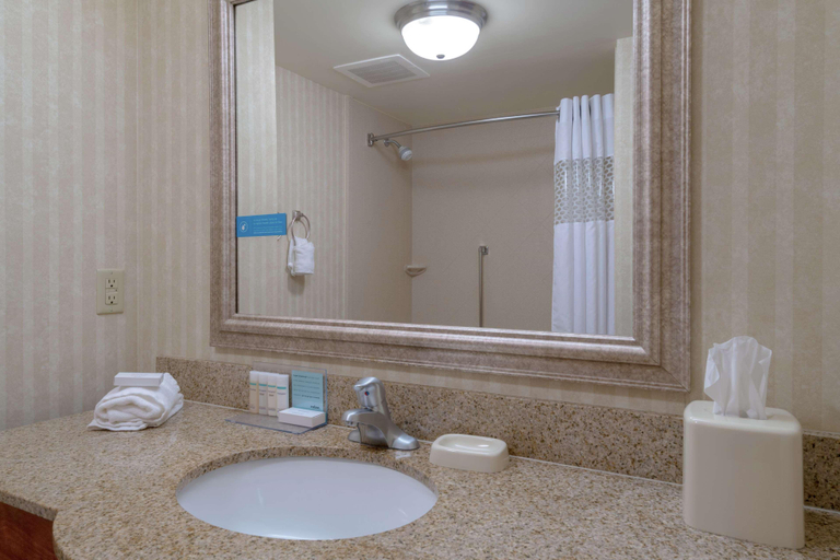 Bathroom 4, Hampton Inn Elkins, Randolph
