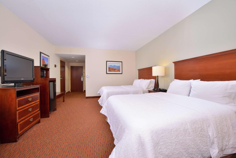 Bedroom 4, Hampton Inn Waynesboro/Stuarts Draft, Augusta