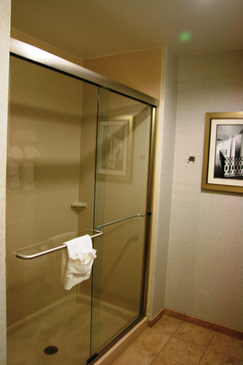 Bathroom 3, Hampton Inn & Suites West Point, Clay