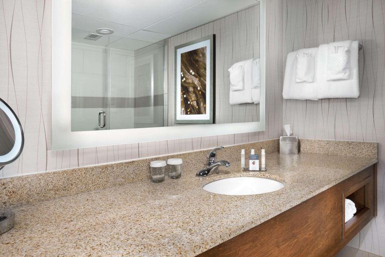 Bathroom 5, Doubletree By Hilton Lawrence, Douglas