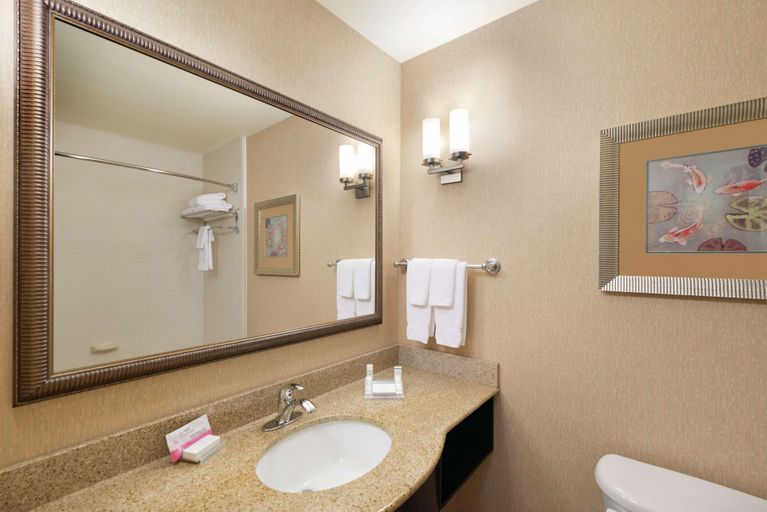 Bathroom 5, Hilton Garden Inn Warner Robins, Houston