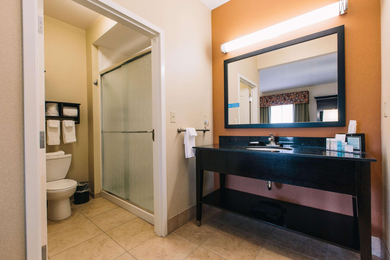 Bathroom 4, Hampton Inn & Suites Effingham, Effingham