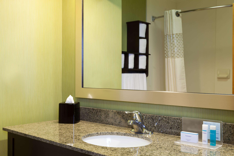 Bathroom 4, Hampton Inn Elkton, Cecil