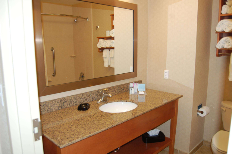 Bathroom 4, Hampton Inn Sidney, NE, Cheyenne