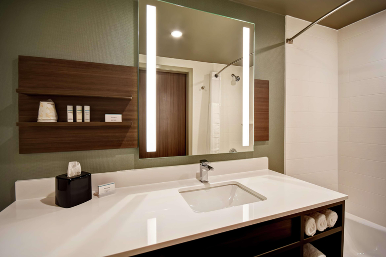 Bathroom 4, Hilton Garden Inn Lansing West, Eaton