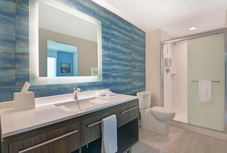 Bathroom 4, Home2 Suites By Hilton Bettendorf Quad Cities, Scott