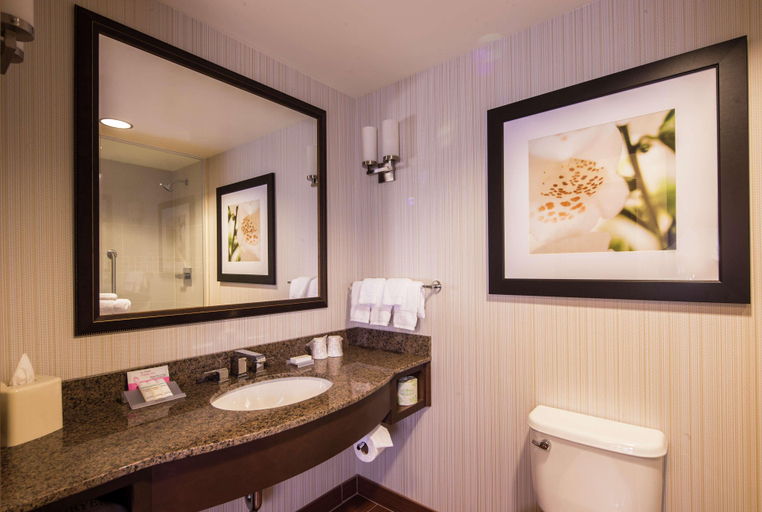 Bathroom 4, Hilton Garden Inn Uniontown, Fayette