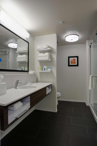 Bathroom 4, Hampton Inn and Suites Ardmore, OK, Carter