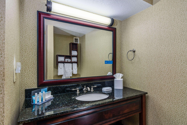 Bathroom 4, Hampton Inn Johnson City, Washington
