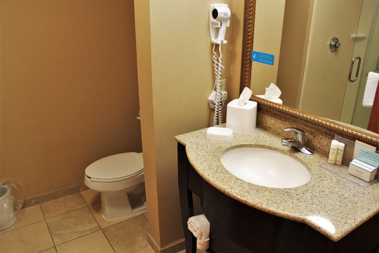 Bathroom 4, Hampton Inn Americus, Sumter