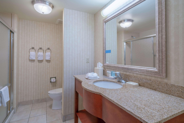 Bathroom 4, Hampton Inn Elkins, Randolph