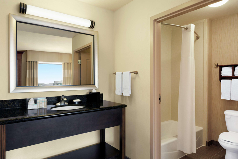 Bathroom 4, Hampton Inn & Suites Houston/Pasadena, Houston