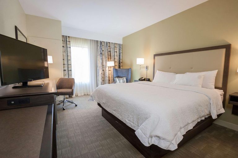Bedroom 3, Hampton Inn Great Falls, Cascade