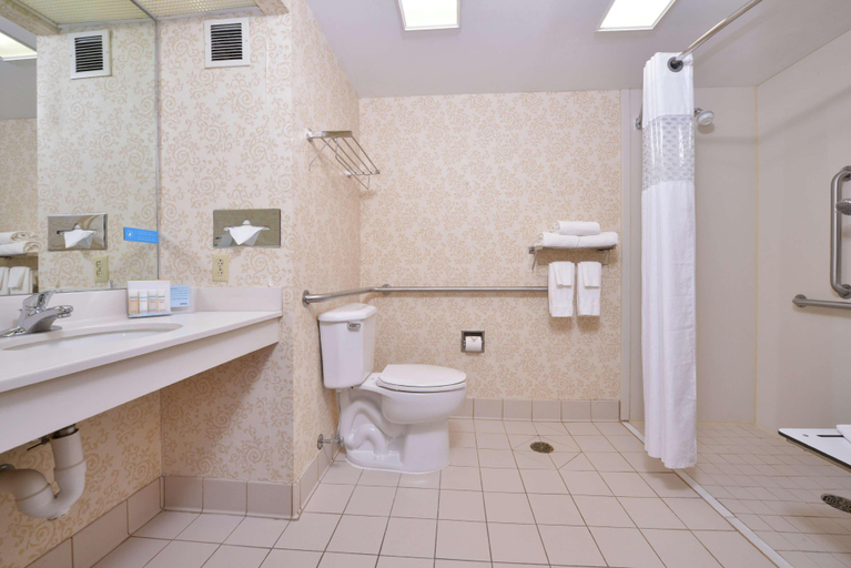 Bathroom 5, Hampton Inn Waynesboro/Stuarts Draft, Augusta