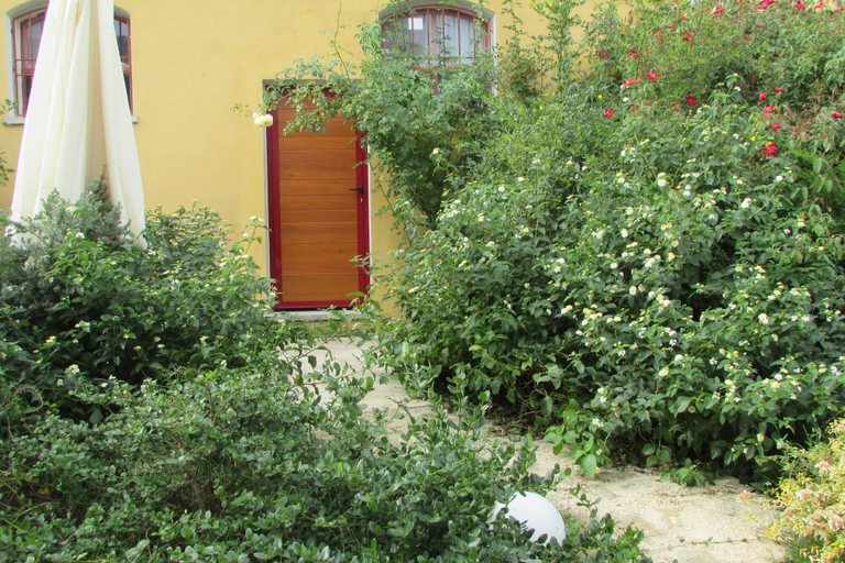 Exterior & Views 1, Cavalli di S'Arcaite, Nuoro
