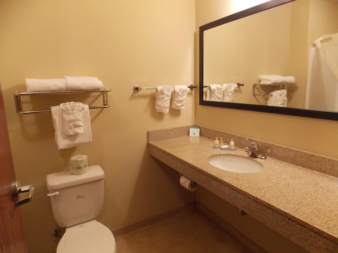 Bathroom 4, Cobblestone Hotel & Suites - Crookston, Polk