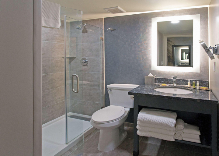 Bathroom 5, DoubleTree by Hilton Chico, Butte