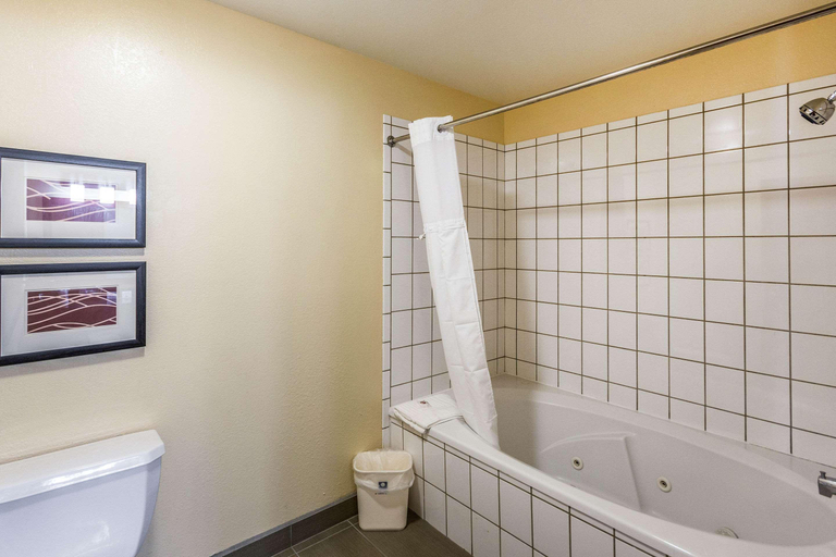 Bathroom 4, Comfort Inn and Suites North Aurora - Naperville, Cook