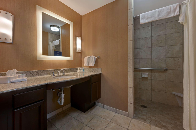 Bathroom 4, Homewood Suites by Hilton Denver Tech Center, Arapahoe