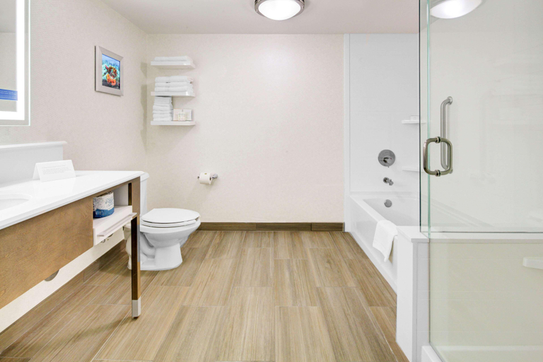 Bathroom 4, Hampton Inn Ft. Lauderdale-West/Pembroke Pines, Broward