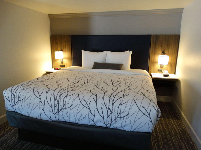 Bedroom 4, Best Western Denver East, Denver