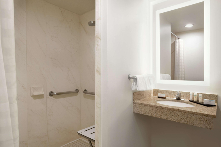 Bathroom 5, Embassy Suites by Hilton Denver International Airp, Denver